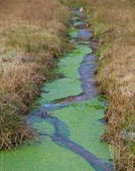 Wiesenbach im Spessart