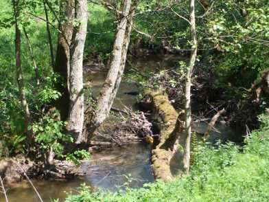 Aubachtal, Spessart