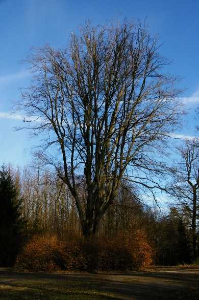 Herbst im Spessart